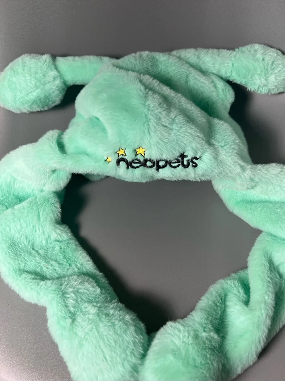 Neopets Aisha NeoHood